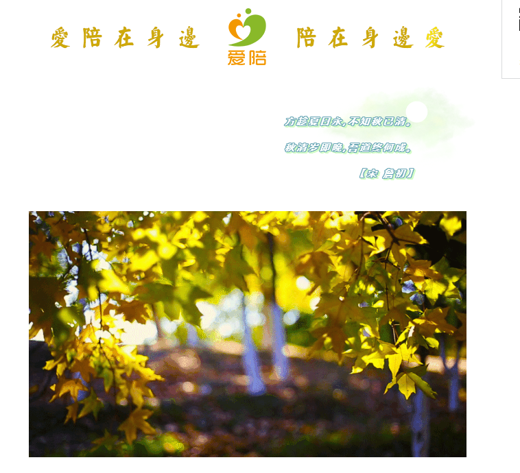 秋清歲即晚，吾道終何成？--共享陪護床為何而生